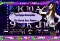 Tips Supaya Menang Main Slot Panther Moon Playtech
